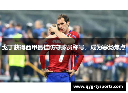 戈丁获得西甲最佳防守球员称号，成为赛场焦点
